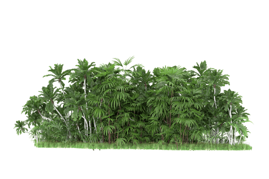 Realistic forest isolated on transparent background. 3d rendering - illustration png