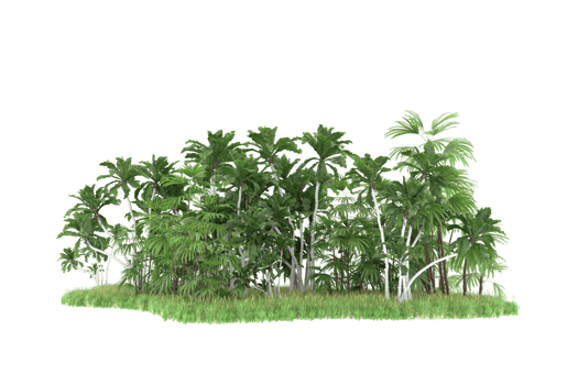 Realistic forest isolated on transparent background. 3d rendering - illustration png