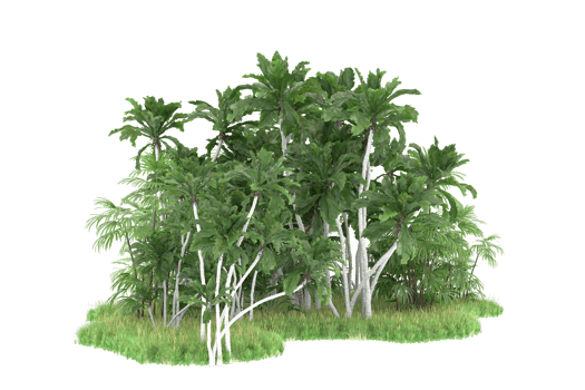 Realistic forest isolated on transparent background. 3d rendering - illustration png