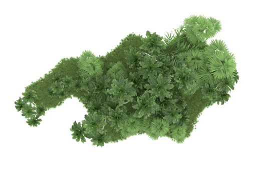 Realistic forest isolated on transparent background. 3d rendering - illustration png