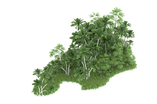Realistic forest isolated on transparent background. 3d rendering - illustration png