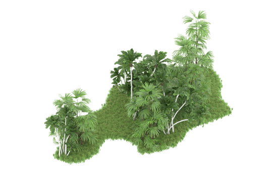 Realistic forest isolated on transparent background. 3d rendering - illustration png