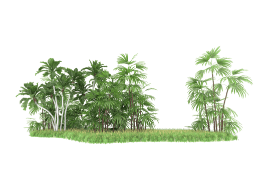 Realistic forest isolated on transparent background. 3d rendering - illustration png
