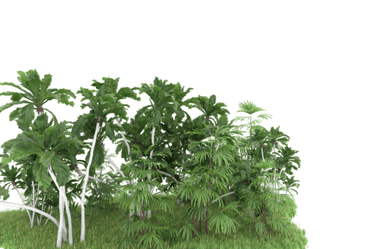 Realistic forest isolated on transparent background. 3d rendering - illustration png
