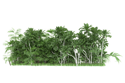 Realistic forest isolated on transparent background. 3d rendering - illustration png