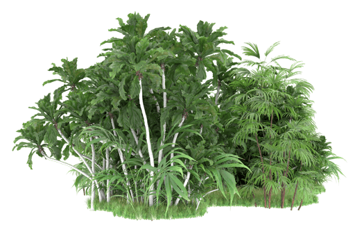 Realistic forest isolated on transparent background. 3d rendering - illustration png