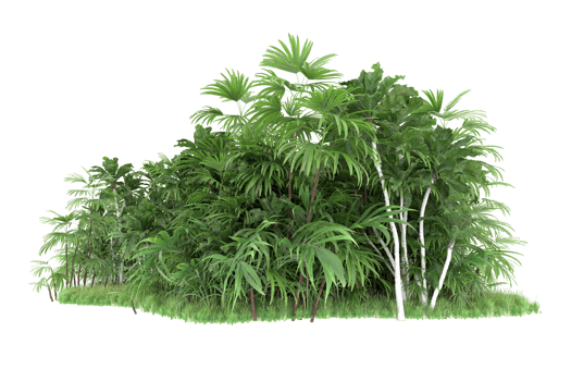 Realistic forest isolated on transparent background. 3d rendering - illustration png