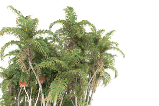 Realistic forest isolated on transparent background. 3d rendering - illustration png