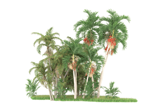Realistic forest isolated on transparent background. 3d rendering - illustration png