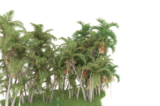 Realistic forest isolated on transparent background. 3d rendering - illustration png