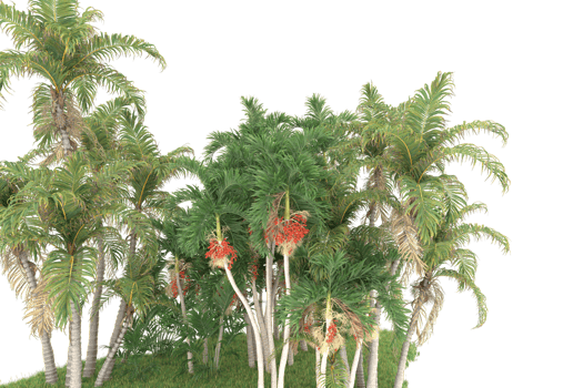 Realistic forest isolated on transparent background. 3d rendering - illustration png
