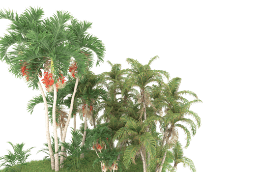 Realistic forest isolated on transparent background. 3d rendering - illustration png