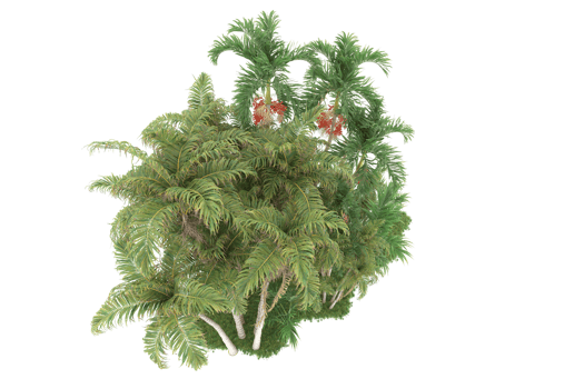 Realistic forest isolated on transparent background. 3d rendering - illustration png