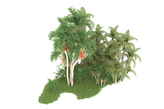 Realistic forest isolated on transparent background. 3d rendering - illustration png