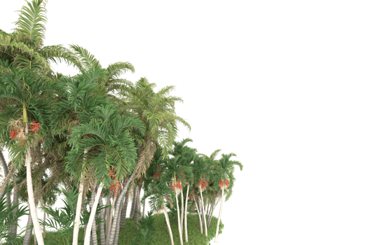 Realistic forest isolated on transparent background. 3d rendering - illustration png