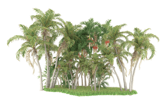 Realistic forest isolated on transparent background. 3d rendering - illustration png