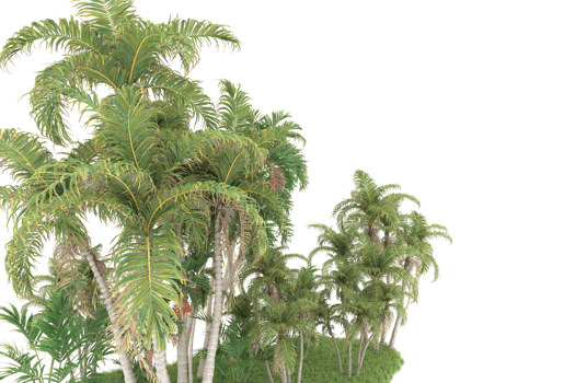 Realistic forest isolated on transparent background. 3d rendering - illustration png