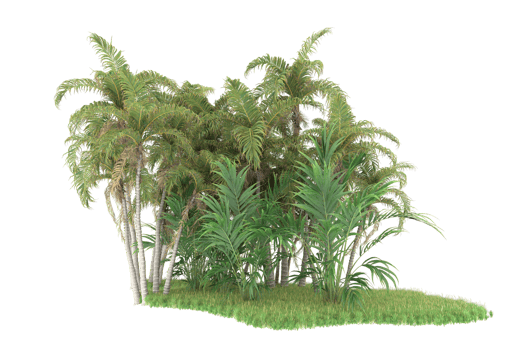 Realistic forest isolated on transparent background. 3d rendering - illustration png