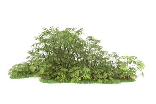 Realistic forest isolated on transparent background. 3d rendering - illustration png