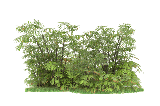 Realistic forest isolated on transparent background. 3d rendering - illustration png