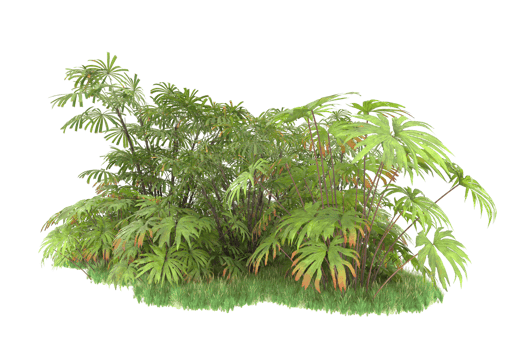 Realistic forest isolated on transparent background. 3d rendering - illustration png