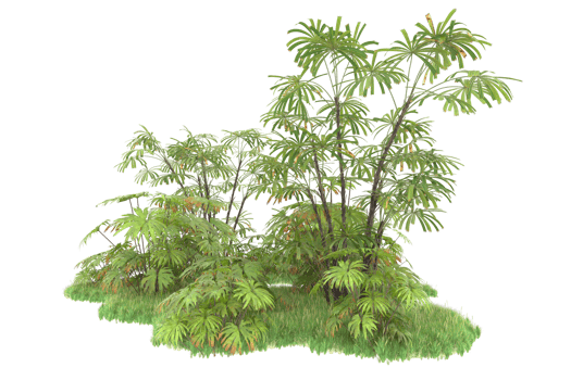 Realistic forest isolated on transparent background. 3d rendering - illustration png