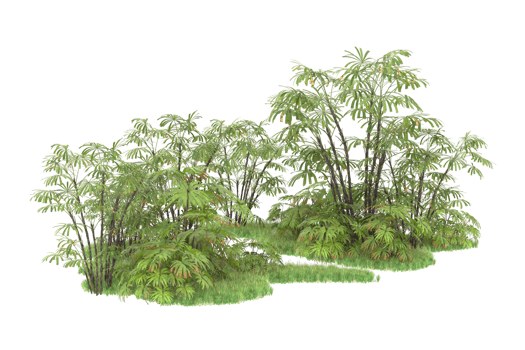 Realistic forest isolated on transparent background. 3d rendering - illustration png