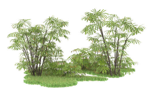 Realistic forest isolated on transparent background. 3d rendering - illustration png