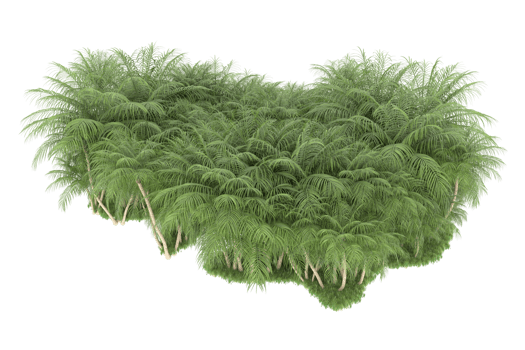 Realistic forest isolated on transparent background. 3d rendering - illustration png