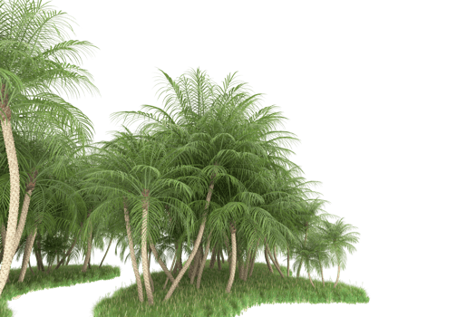 Realistic forest isolated on transparent background. 3d rendering - illustration png