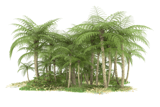 Realistic forest isolated on transparent background. 3d rendering - illustration png