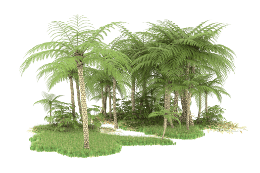 Realistic forest isolated on transparent background. 3d rendering - illustration png
