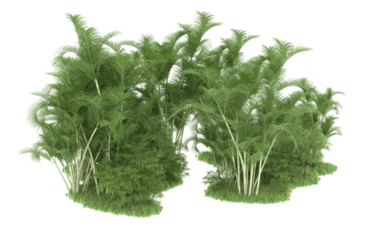 Realistic forest isolated on transparent background. 3d rendering - illustration png
