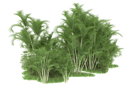Realistic forest isolated on transparent background. 3d rendering - illustration png