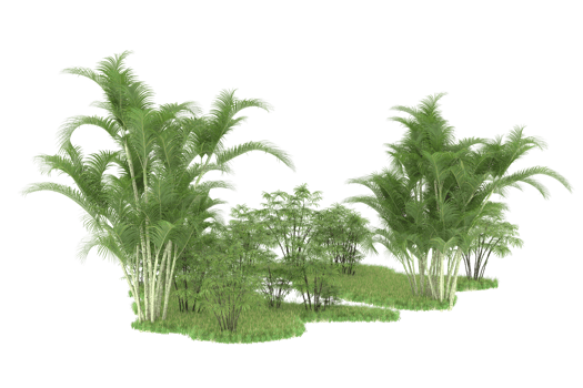Realistic forest isolated on transparent background. 3d rendering - illustration png