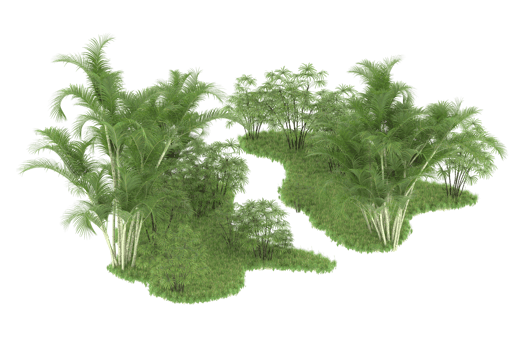 Realistic forest isolated on transparent background. 3d rendering - illustration png