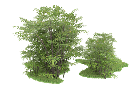 Realistic forest isolated on transparent background. 3d rendering - illustration png