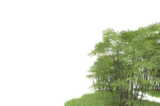 Realistic forest isolated on transparent background. 3d rendering - illustration png
