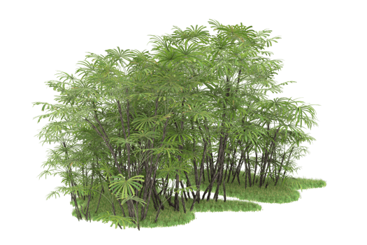 Realistic forest isolated on transparent background. 3d rendering - illustration png