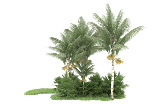 Realistic forest isolated on transparent background. 3d rendering - illustration png