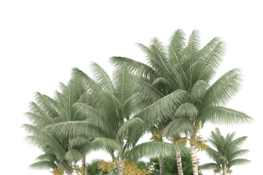 Realistic forest isolated on transparent background. 3d rendering - illustration png