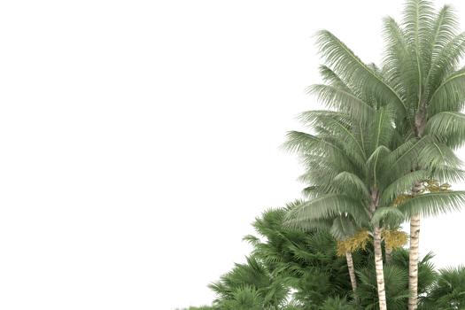 Realistic forest isolated on transparent background. 3d rendering - illustration png