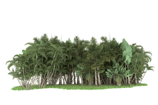 Realistic forest isolated on transparent background. 3d rendering - illustration png