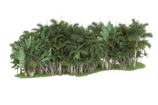 Realistic forest isolated on transparent background. 3d rendering - illustration png