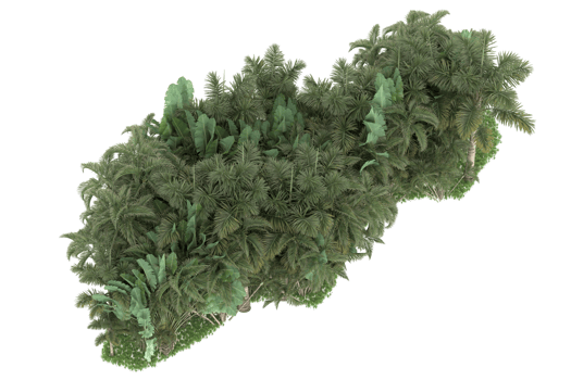 Realistic forest isolated on transparent background. 3d rendering - illustration png