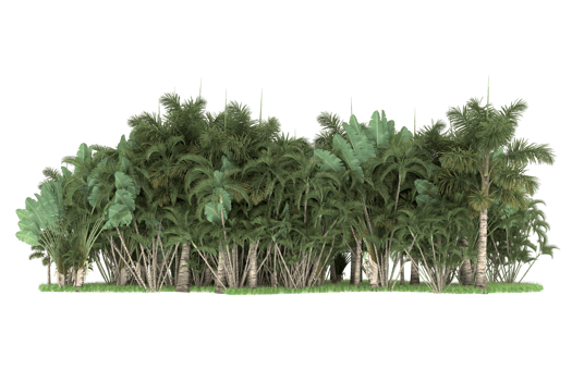 Realistic forest isolated on transparent background. 3d rendering - illustration png