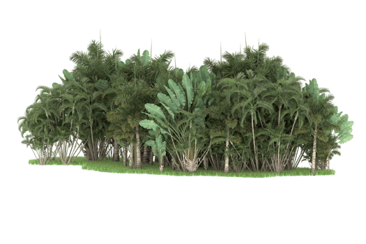 Realistic forest isolated on transparent background. 3d rendering - illustration png