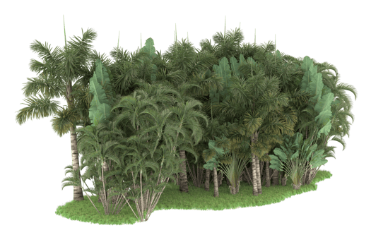 Realistic forest isolated on transparent background. 3d rendering - illustration png