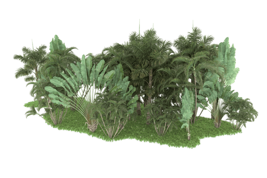 Realistic forest isolated on transparent background. 3d rendering - illustration png