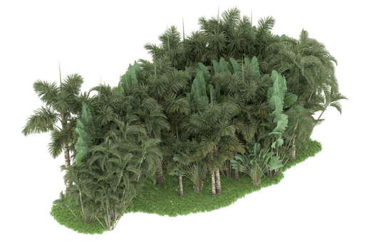 Realistic forest isolated on transparent background. 3d rendering - illustration png